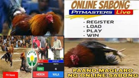 pitmaster online sabong app download  SW418